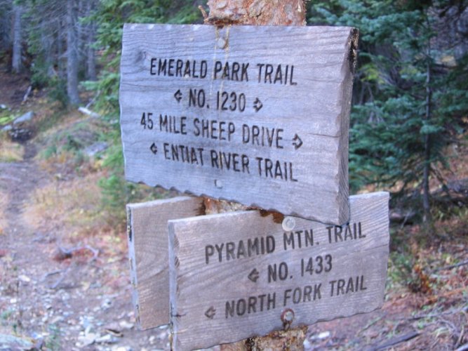 Here's the junction by Snow Brushy Creek.  
We had dropped down 1700 feet from Saska Pass, and now we needed to climb 1800 feet back up to Borealis Pass.
Then we could look forward to doing the same drop and climb again on our way back.
